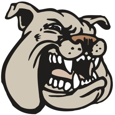 AR BDOG 38 RC Thumbnail