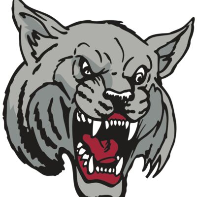 AR WILDCAT 42 RC Thumbnail