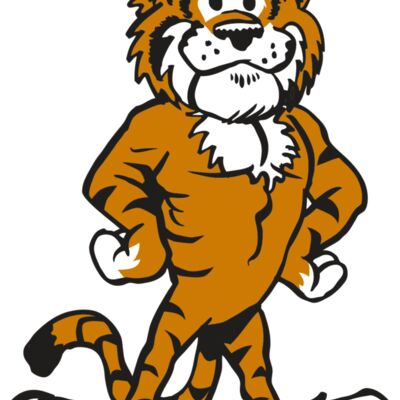 AR TIGER 91 RC Thumbnail