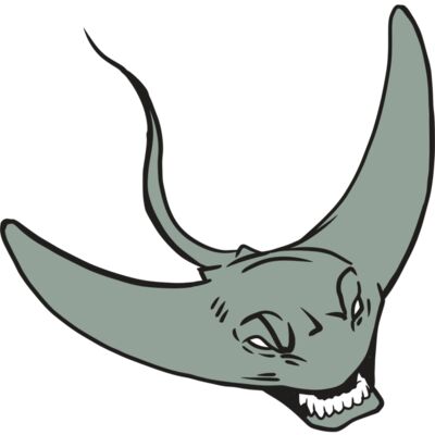 AR19 STINGRAY 05 RQC Thumbnail